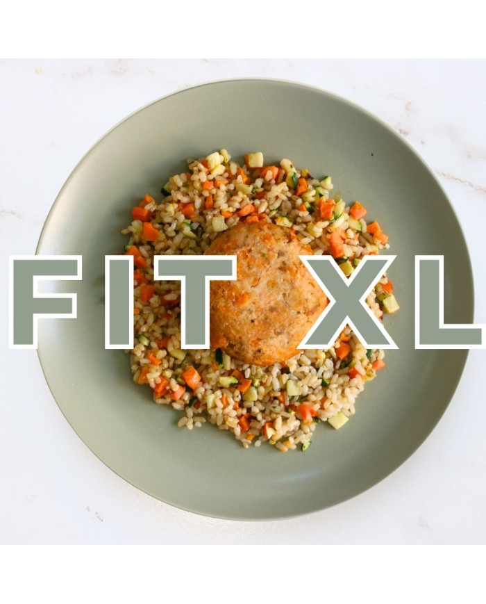 Fit XL - HAMBURGUESA DE SALMÓN CON ARROZ Y VERDURITAS